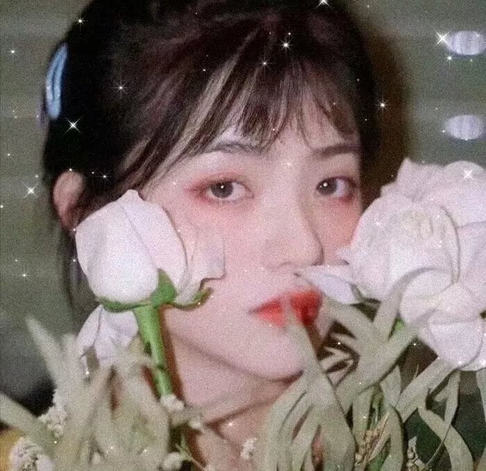 娘道成寺 蛇炎之恋