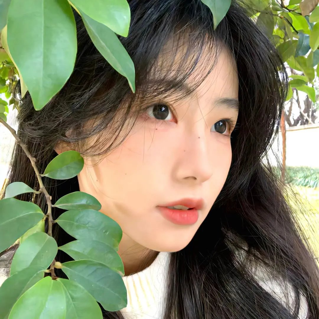 狼母